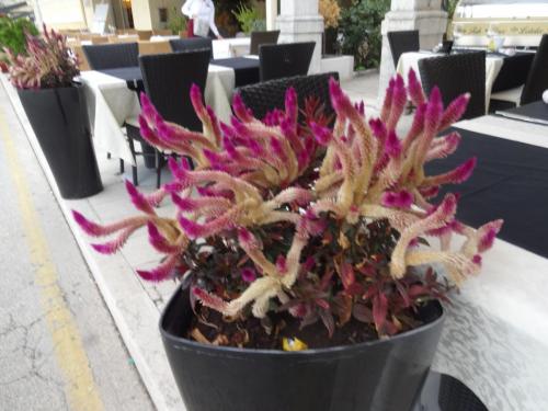 2015-09-30 15-04-04.JPG