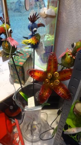 2016-12-30 12-24-44.JPG