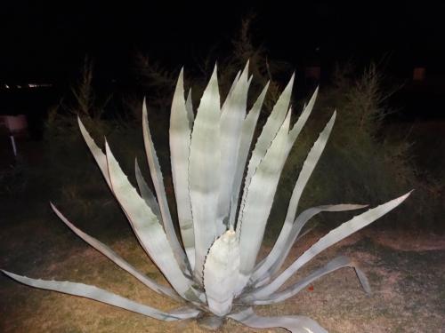 2015-09-29 18-52-48.JPG