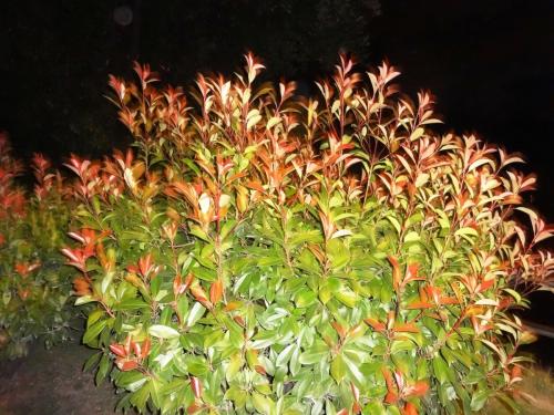 2015-09-29 19-13-30 (2).JPG