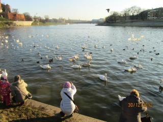 IMG_0497.JPG
