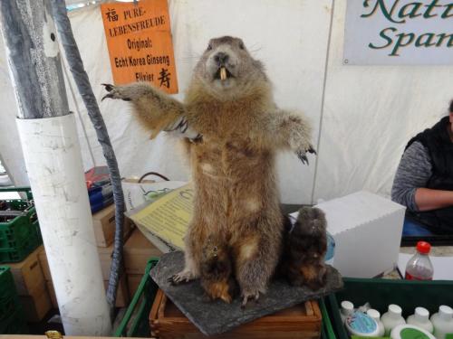 2016-09-07 07-42-24.JPG