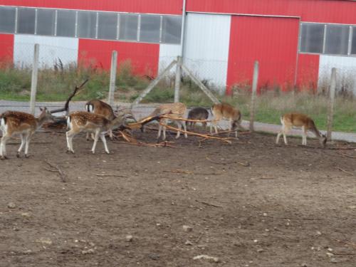 2015-09-29 13-48-50.JPG