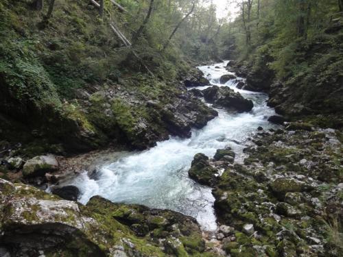 2016-09-14 14-43-08.JPG