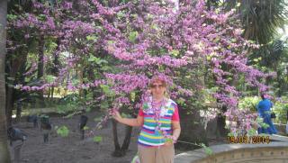 IMG_3731.JPG