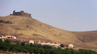 DSC 00899.jpg