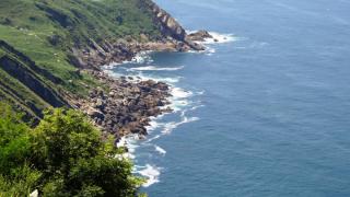 DSC 00513.jpg