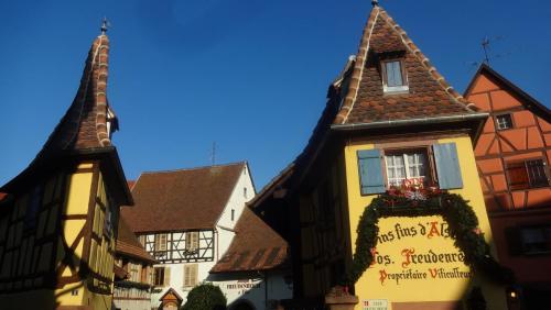 2017-01-01 12-33-14.JPG