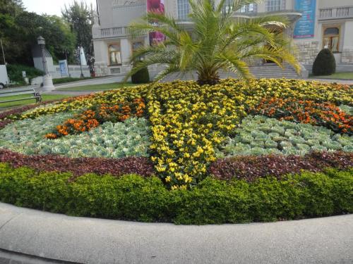 2016-09-15 06-55-40.JPG