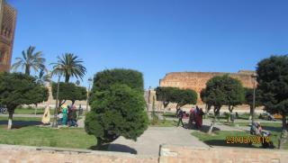IMG_4114.JPG