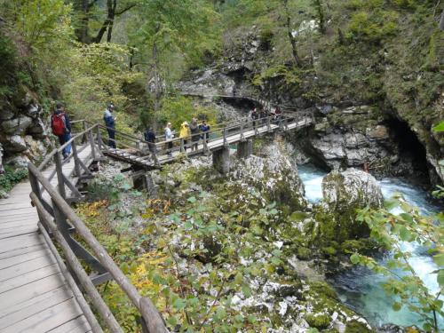 2015-10-02 09-36-06.JPG