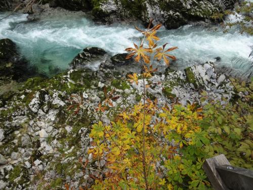 2015-10-02 10-29-46.JPG