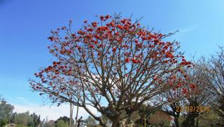 IMG_4076.JPG