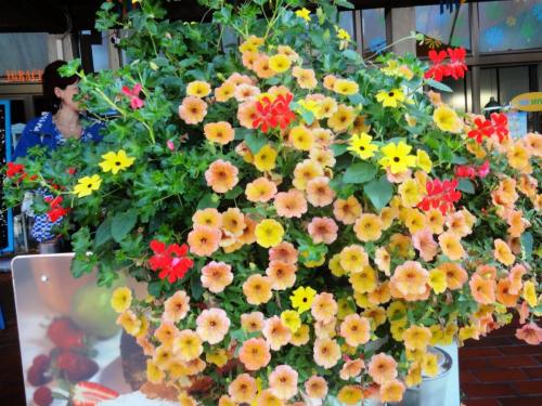 2016-09-14 07-55-04.JPG