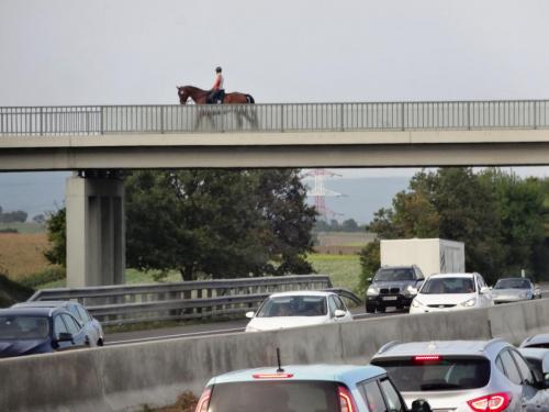 2016-09-16 14-37-36.JPG