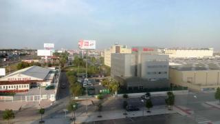 DSC 00909.jpg