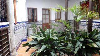 DSC 00866.jpg