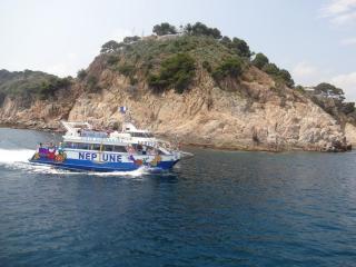 DSC 01317.JPG