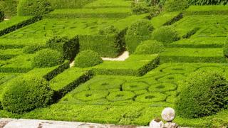 DSC 00772.jpg