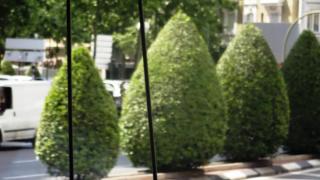 DSC 00707.jpg