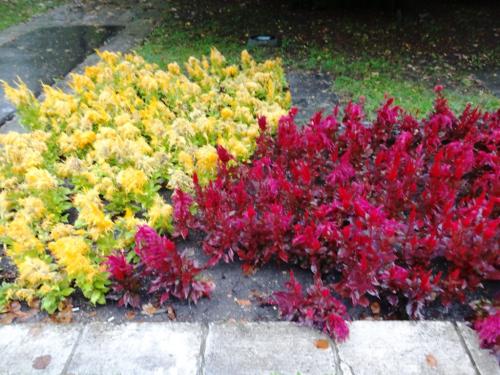 2015-09-26 09-21-14.JPG