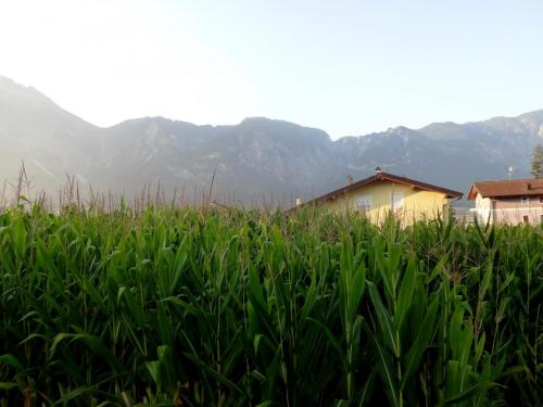 2016-09-08 05-44-56 Отель в Тренто.JPG