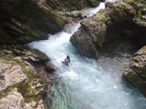 2016-09-14 15-37-52.JPG