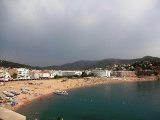 DSC 01266.jpg