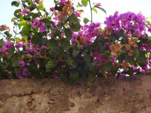 2015-09-30 08-30-12.JPG