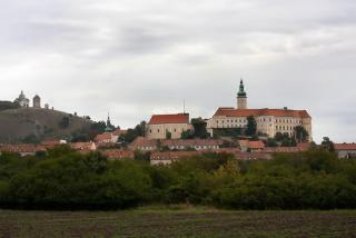 IMG_3557.jpg