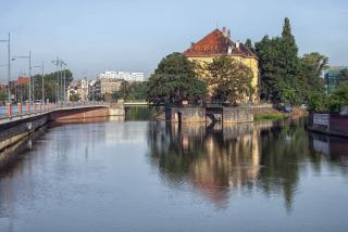IMG_6156.jpg
