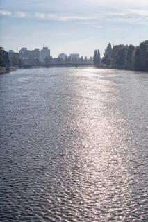 IMG_6175.jpg