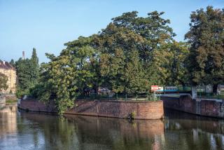IMG_6158.jpg