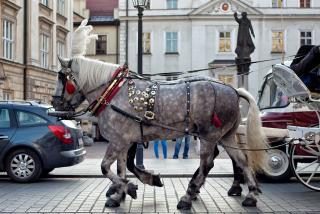 день1_2 118.jpg