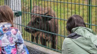 IMG_1557.jpg