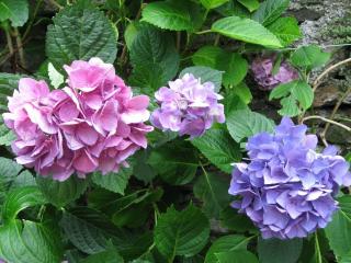 2013-07-24 14-47-06.JPG