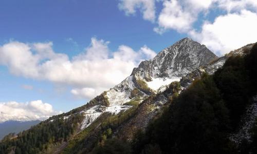 DSCF9550.JPG