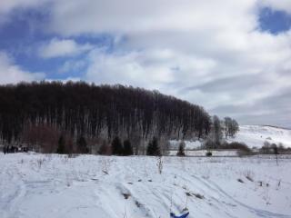 DSCF2946.JPG