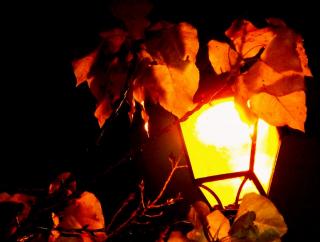 DSCF2179.JPG