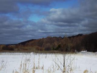 DSCF2941.JPG