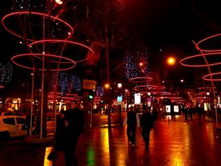 DSCF6394-1.JPG
