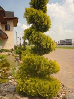 DSC01075.JPG