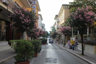 IMG_0568.JPG