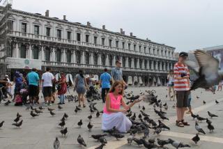 IMG_0323.JPG