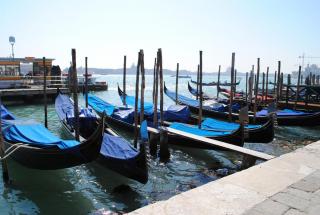 DSC_6572.JPG