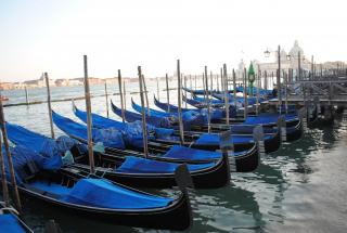 DSC_6742.JPG