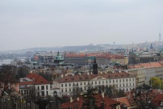 DSC_6782.JPG