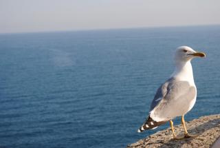 DSC_6124.JPG