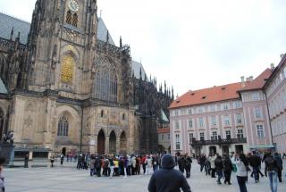 DSC_6769.JPG