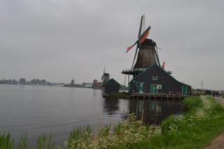 DSC_0612.JPG